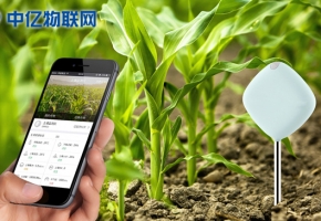 物聯網卡運用在農作物管理上會怎么樣？