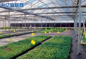 生產監控設備流量卡：物聯網讓農業生產精細化！